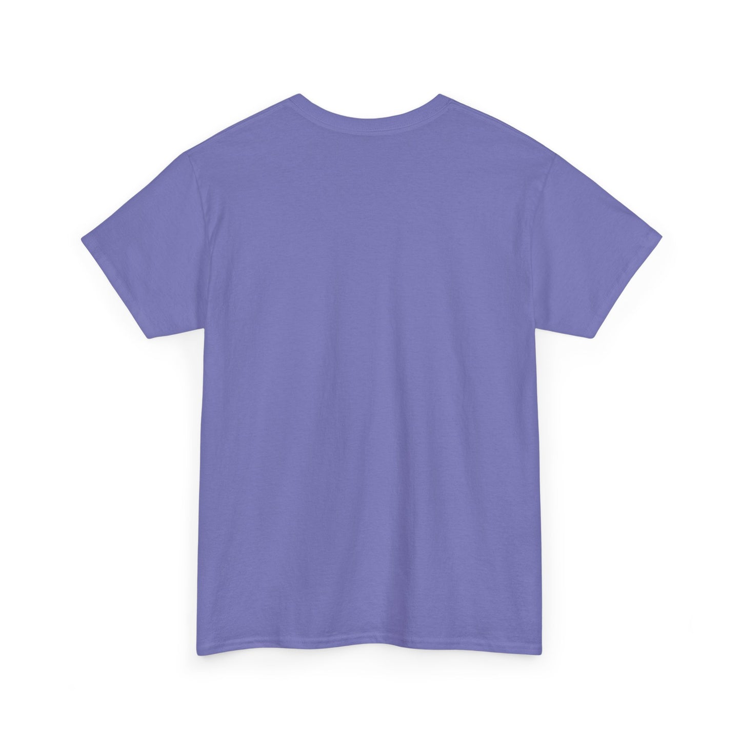Detroit Ravens Flocked and Loaded Unisex Heavy Cotton Tee
