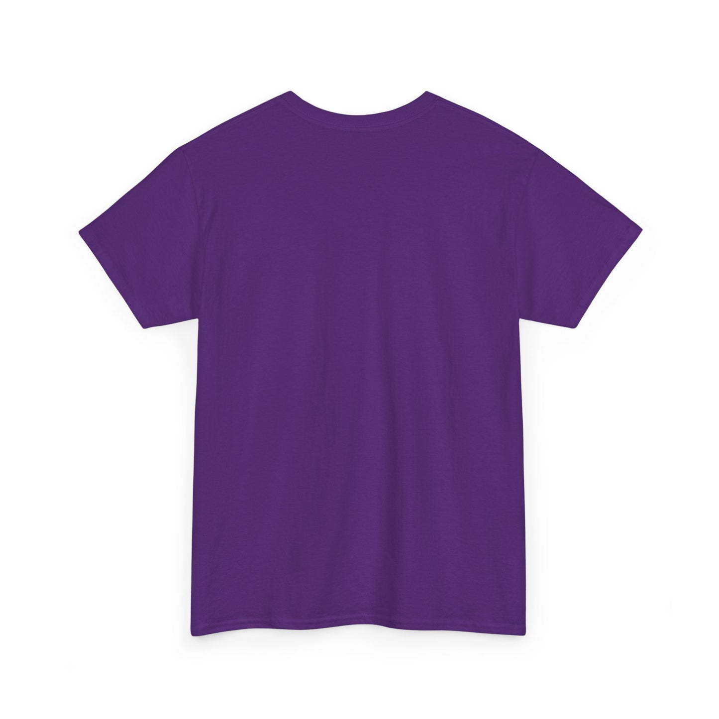 Detroit Ravens Flocked and Loaded Unisex Heavy Cotton Tee